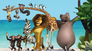 madagascar 1 lys